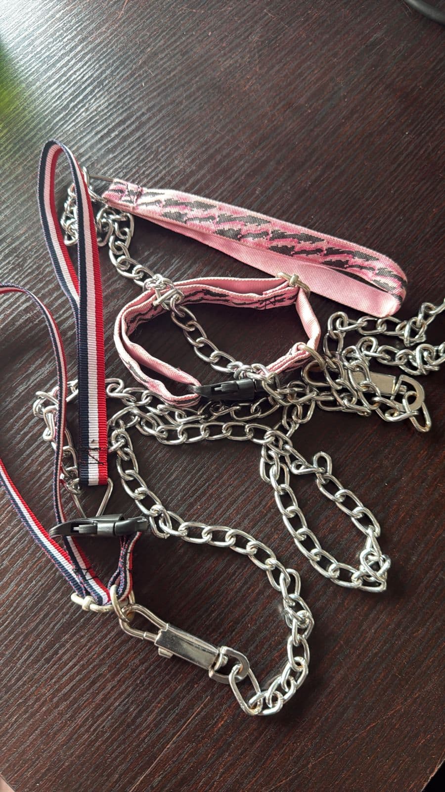 PUPPY COLLAR & CHAIN