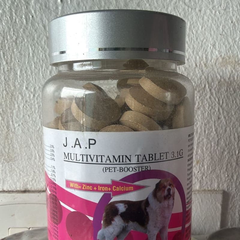 JAP MULTIVITAMIN BIG