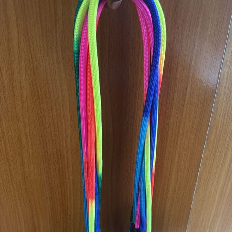 RAINBOW LEASH & COLLAR SMALL