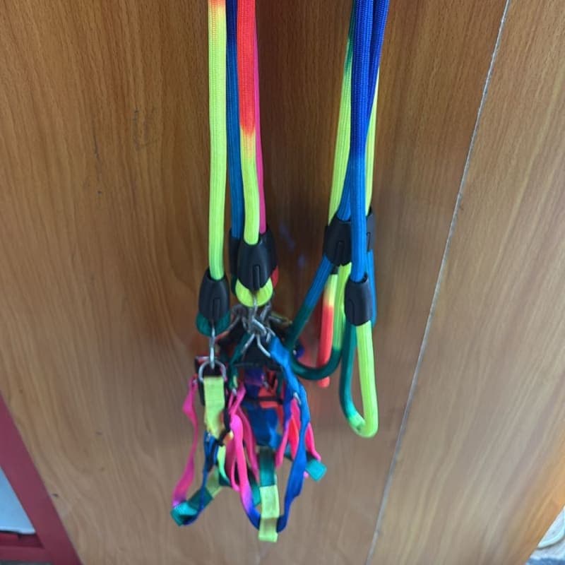 RAINBOW LEASH & COLLAR MEDIUM