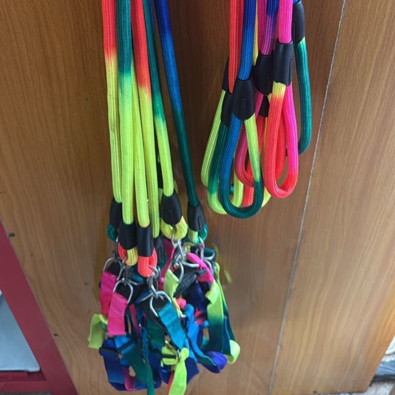 RAINBOW LEASH & COLLAR BIG